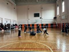 Evrensel Kolej